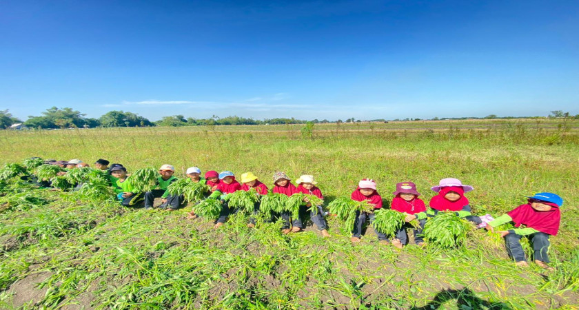 Edu Farming: Siswa MI Unggulan Miftakhul Hikmah Belajar dari Alam Terbuka