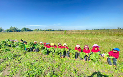 Edu Farming: Siswa MI Unggulan Miftakhul Hikmah Belajar dari Alam Terbuka